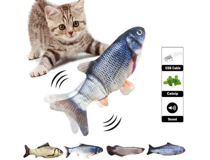 Cat Fish