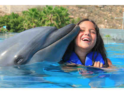 Dolphin Signature swim at Dolphin Discovery for 2 persons