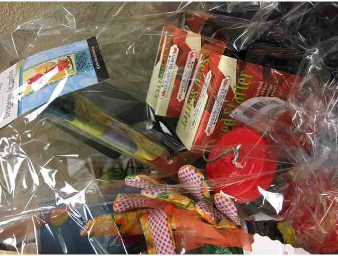 K/1B - Fun in the Garden Basket