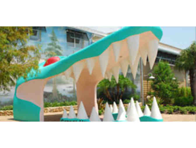 Gatorland Basket