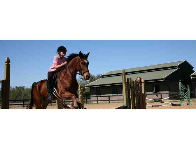 Five (5) Half-Hour Horse Riding Lessons at Painted Oak Academy
