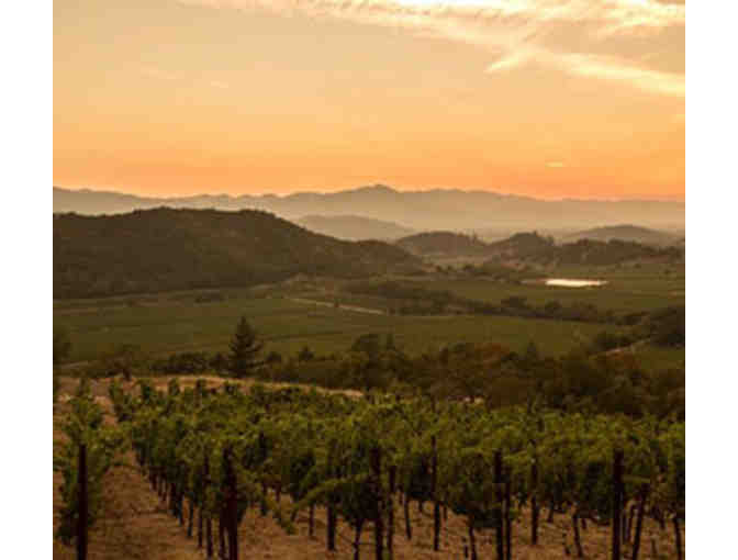 Stag's Leap Wine Cellars 2015 Artemis Cabernet Sauvignon Napa Valley 3L