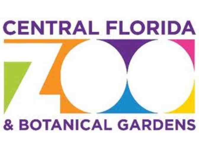 A Day with Ms Reba at the zoo or the movies