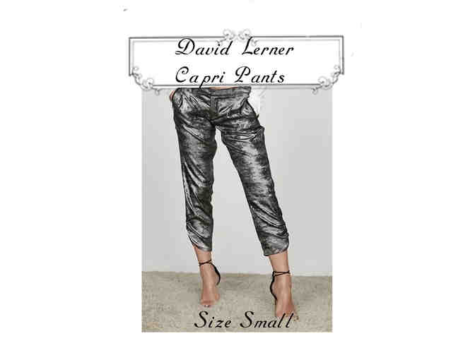 David Lerner Designer Clothes