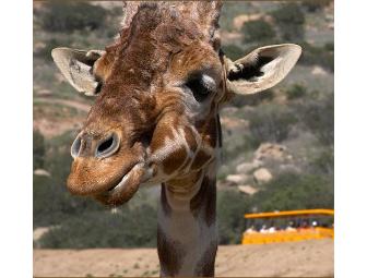 Places to go in San Diego