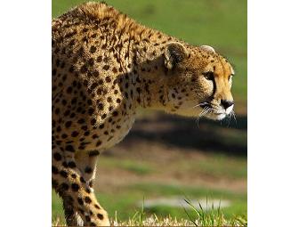 Places to go in San Diego