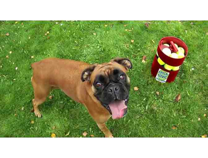 Fetchtastic Automatic Fetch Machine (AC powered)