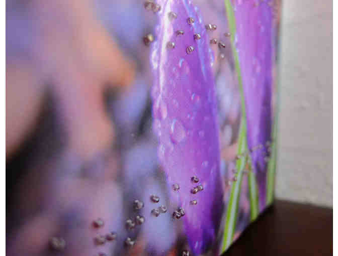 Braille Poetry Accenting Canvas Print of Crocus with Dew