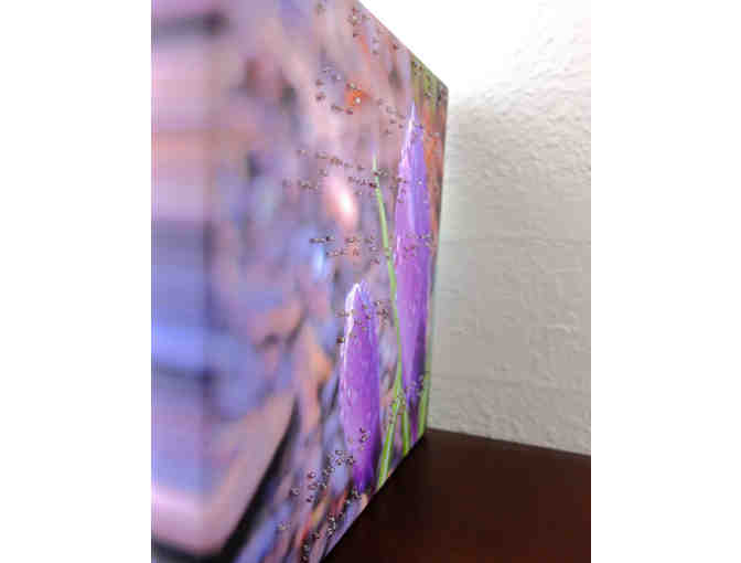 Braille Poetry Accenting Canvas Print of Crocus with Dew