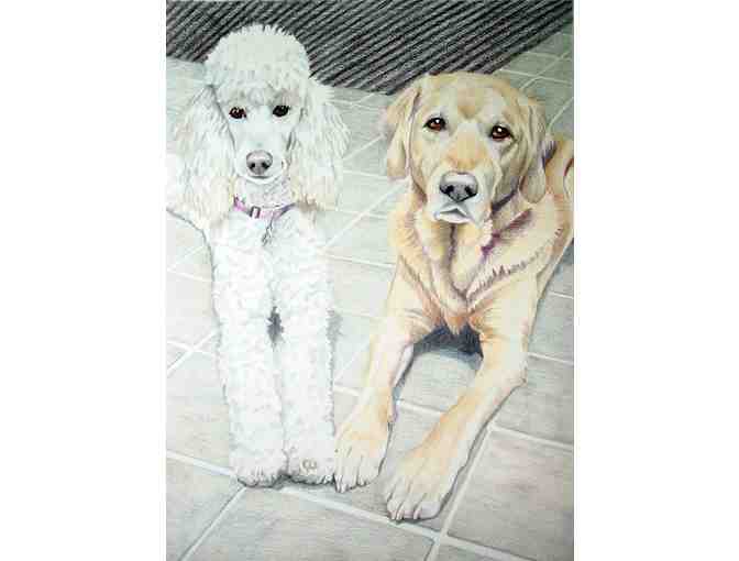 Pet Portrait by Hava Hegenbarth