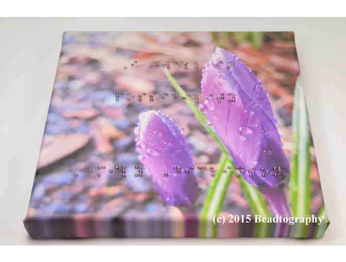 Braille Poetry Accenting Canvas Print of Crocus with Dew