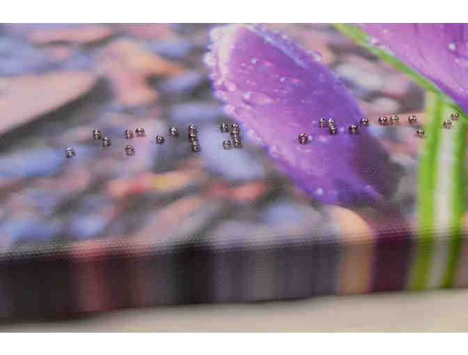 Braille Poetry Accenting Canvas Print of Crocus with Dew