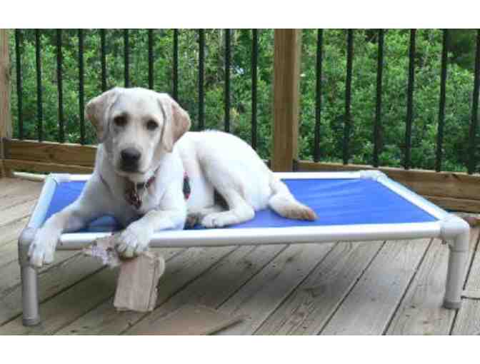 Fund-A-Need - Raised Dog Beds