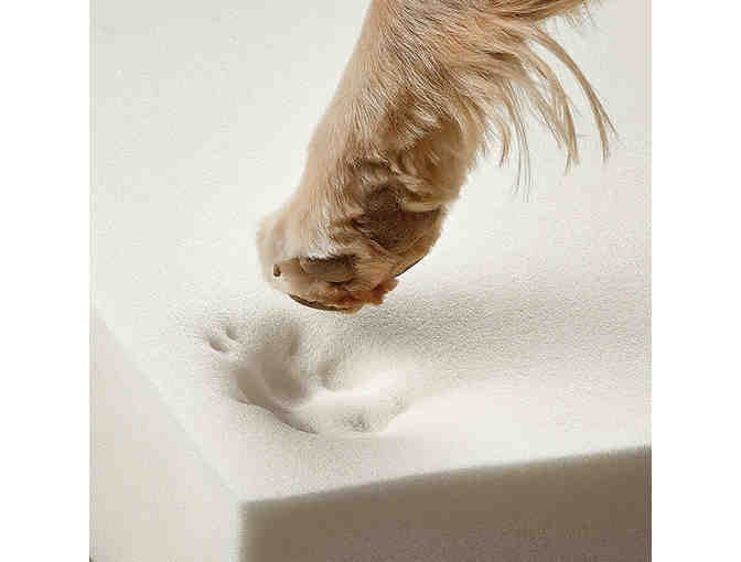 Dream Lounger Memory Foam Dog Bed