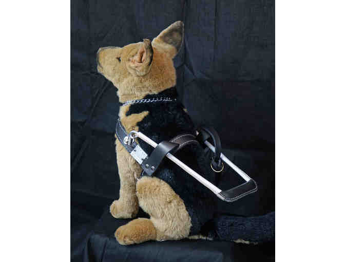 German Shepherd in Harness