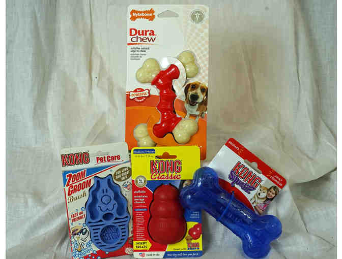 Red & Blue Doggie