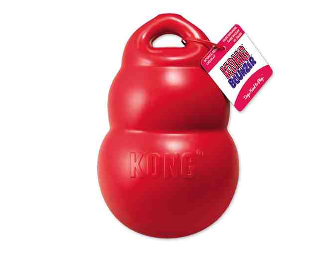 Fund-A-Need - KONG X-Large Bounzer Dog Toy