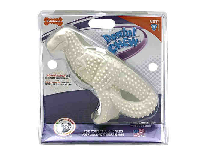 Fund-A-Need - Nylabone Dental Dinosaur