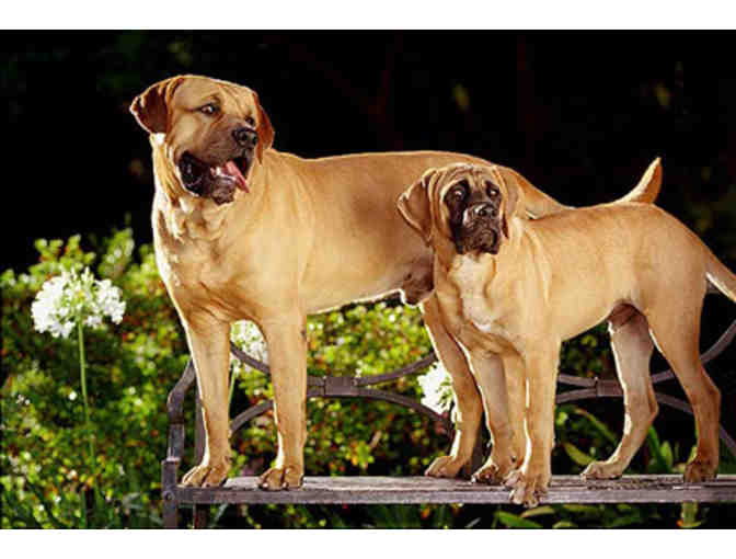 An Unconventional Portrait Session in Pasadena