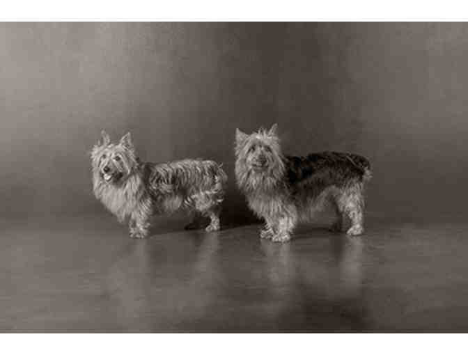 An Unconventional Portrait Session in Pasadena