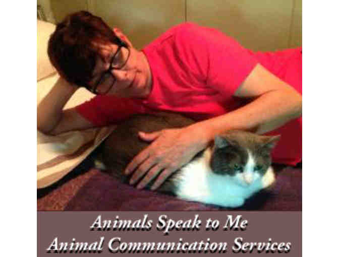30 Minute Animal Communication Session