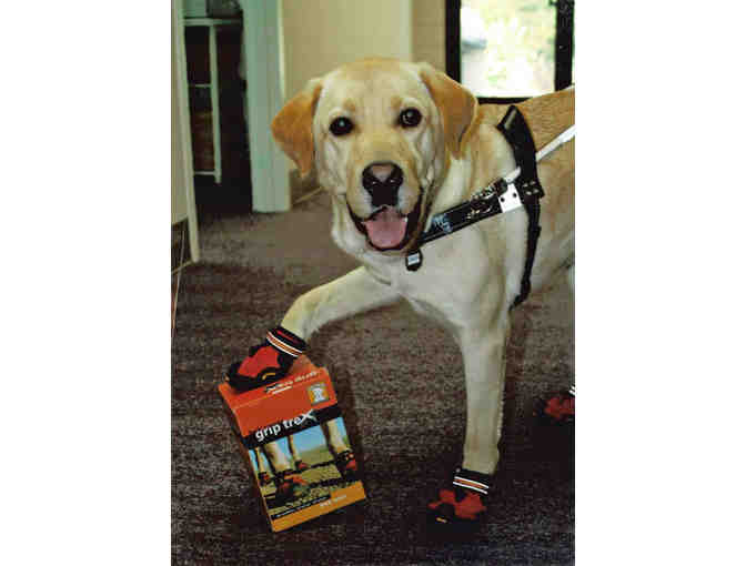 Fund-A-Need - Bark'n Boots™ Grip Trex™ Dog Boots