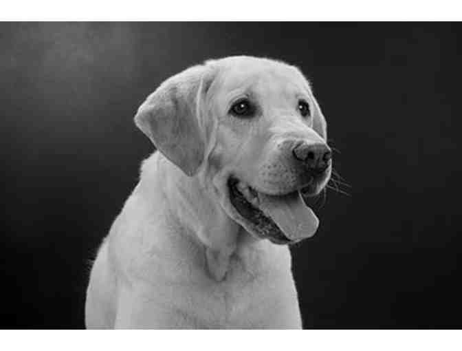 An Unconventional Portrait Session in Pasadena