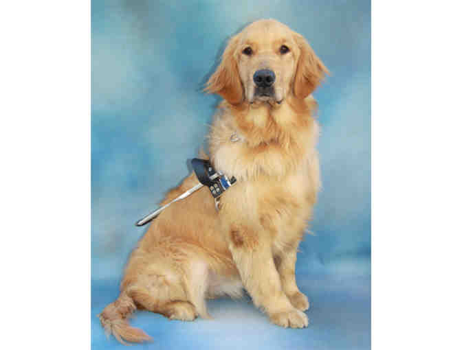 Fund-A-Need - Guide Dog Graduation Kit - Photo 1