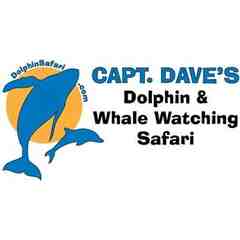 Capt. Dave's Dolphin & Whale Safari