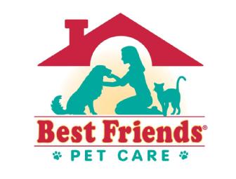 Best Friends Pet Care 'Pampered Pooch Package'