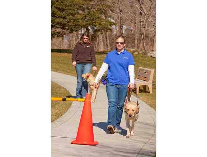 **Guiding Eyes Trainer for a Day**