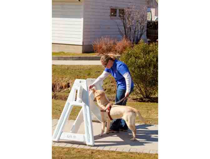 **Guiding Eyes Trainer for a Day**