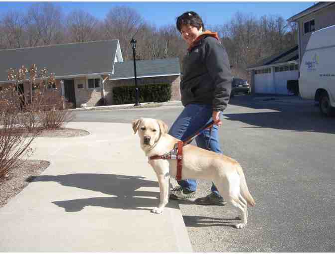 **Guiding Eyes Trainer for a Day**