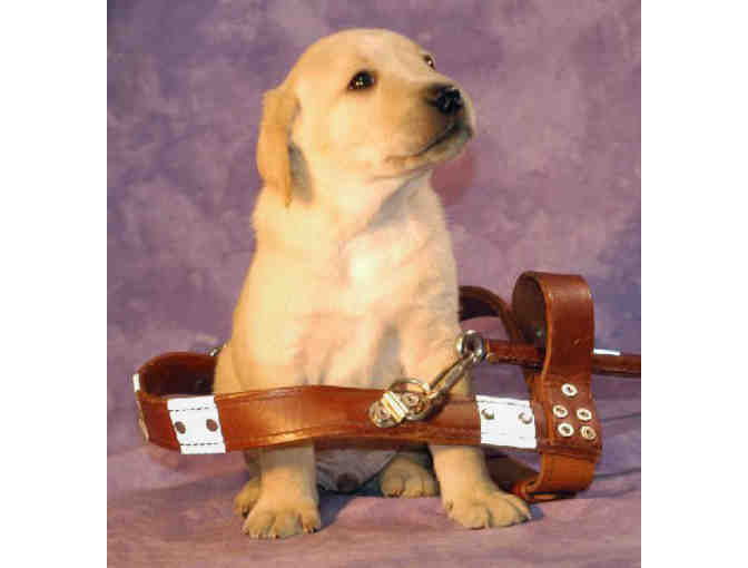**Name a Guiding Eyes Puppy**