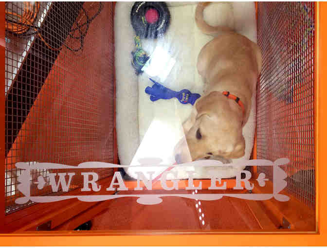 Wrangler TODAY's First Crate - and his Paw Print!