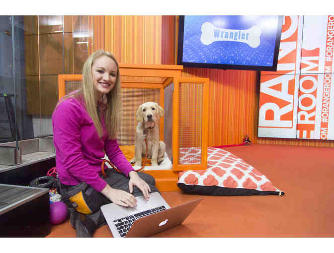 Wrangler TODAY's First Crate - and his Paw Print!