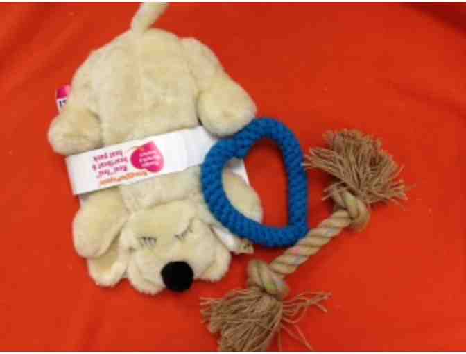 Plush Comfort for Your Dog & Labrador Themed Journal