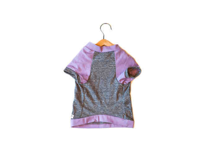 Another Walk in the Park!