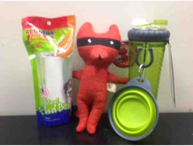 Another Walk in the Park!