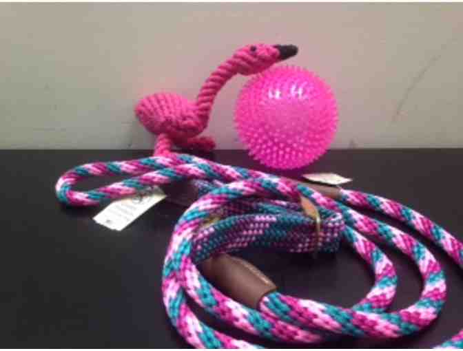 Another Walk in the Park!