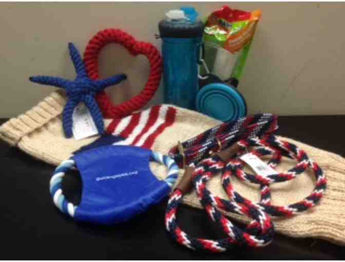 Patriotic Pup Toys