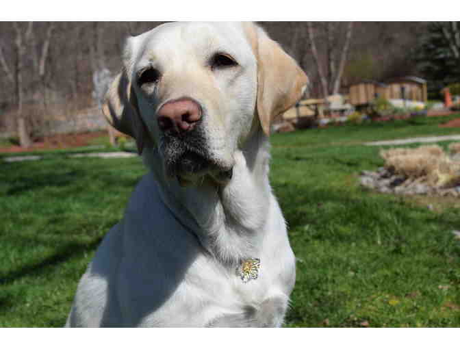Almond Blossom Necklace