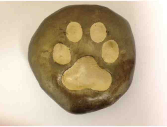 Wrangler TODAY's First Crate - and his Paw Print!