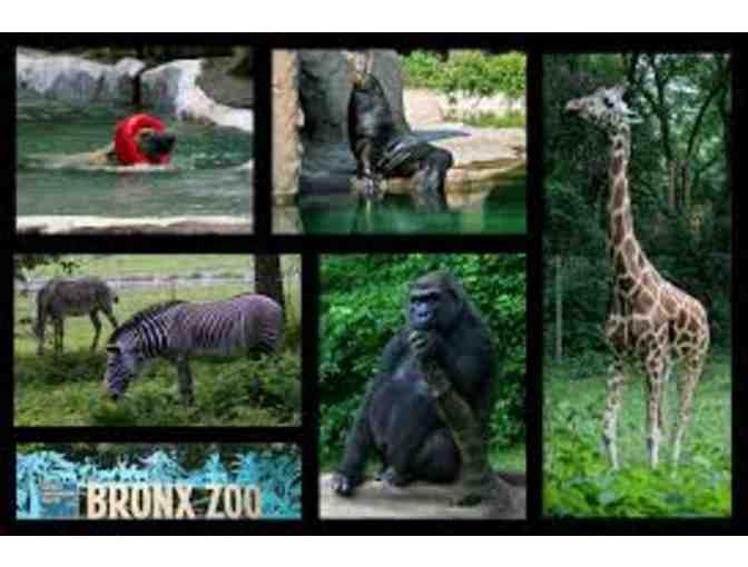 Go Wild at the Bronx Zoo!