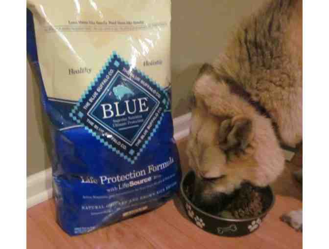 One Year Supply of Blue Buffalo Pet Food & PawNosh Pet Bowls