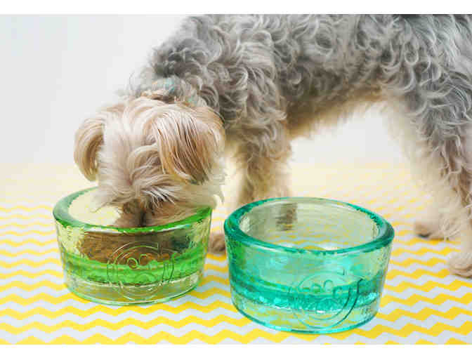 One Year Supply of Blue Buffalo Pet Food & PawNosh Pet Bowls