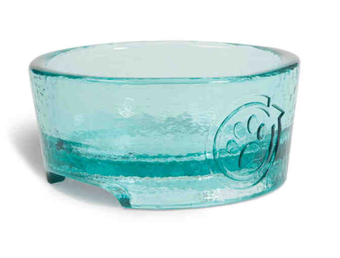 One Year Supply of Blue Buffalo Pet Food & PawNosh Pet Bowls