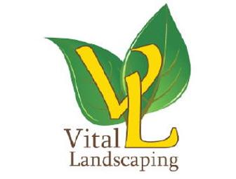 Vital Garden Supply - Planters, Organic Soil and Watering Can