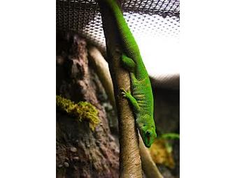 Turtle Bay Exploration Park Admission for 2