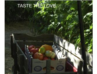 Greg's Organics Half Share Tomato CSA